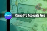 Canva Pro Accounts Free